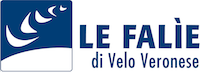 immagine della compagnia